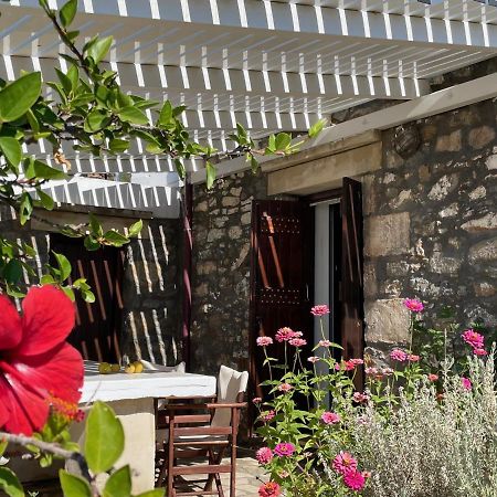 Villa La Familia Maison Traditionnelle Плакиас Экстерьер фото