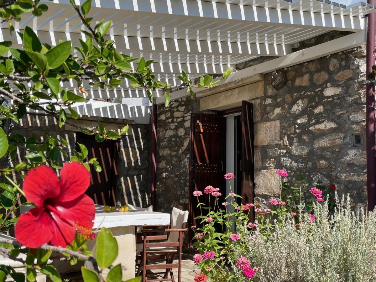 Villa La Familia Maison Traditionnelle Плакиас Экстерьер фото